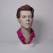 Harry Styles - Hand Painted Clay Bust Sculpture