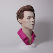 Harry Styles - Hand Painted Clay Bust Sculpture