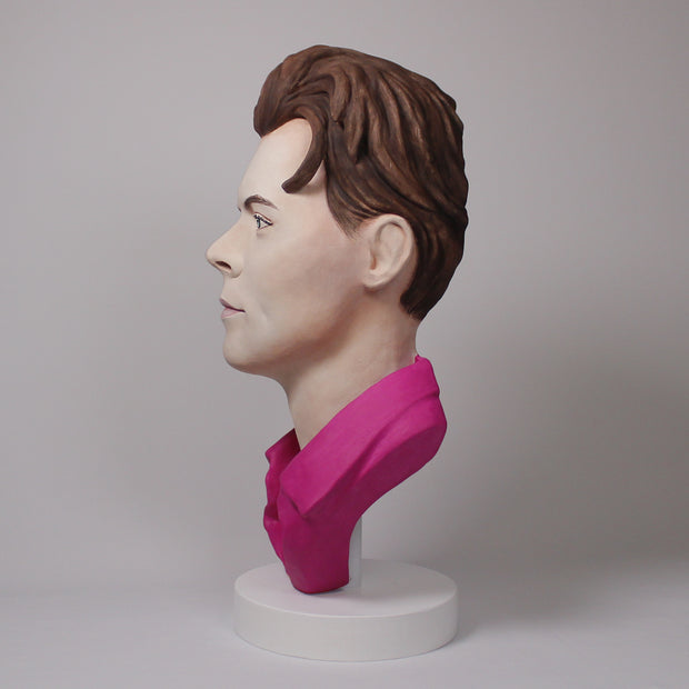 Harry Styles - Hand Painted Clay Bust Sculpture