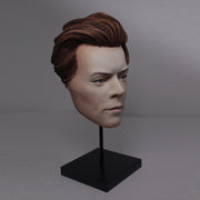 Harry Styles - Hand Painted Clay Mask Sculpture