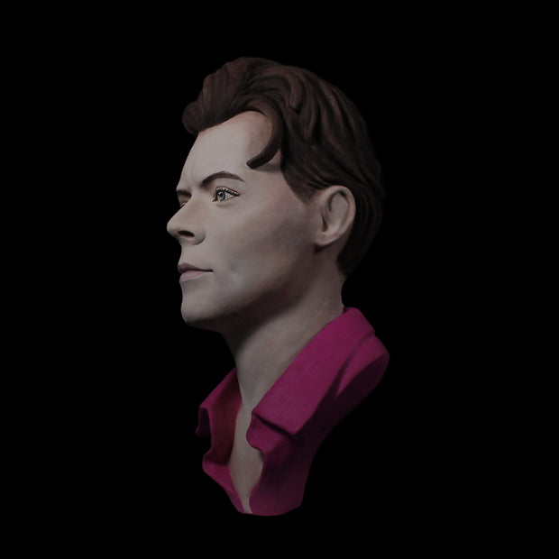 Harry Styles - Hand Painted Clay Bust Sculpture