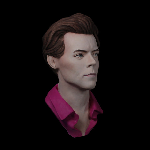 Harry Styles - Hand Painted Clay Bust Sculpture