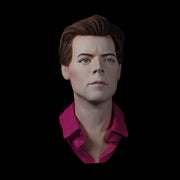 Harry Styles - Hand Painted Clay Bust Sculpture